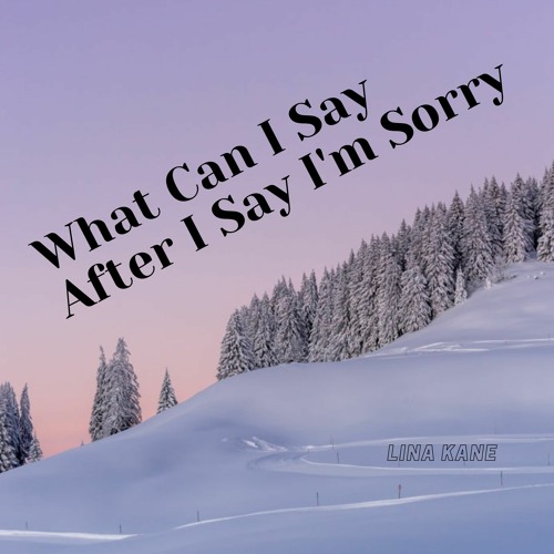 ภาพปกอัลบั้มเพลง What Can I Say After I Say I'm Sorry