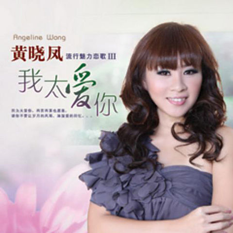 ภาพปกอัลบั้มเพลง Huang Xiao Feng - Ni Zen Me She De Wo Nan Guo