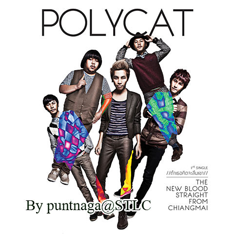 ภาพปกอัลบั้มเพลง Polycat - ถ้าเธอคิดจะลืมเขา