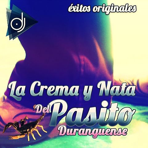 ภาพปกอัลบั้มเพลง 20. Los 4 De Durango - Un Rayo De Sol