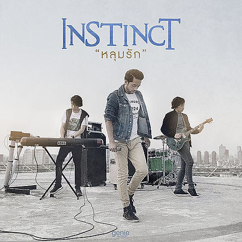 ภาพปกอัลบั้มเพลง หลุมรัก - Instinct