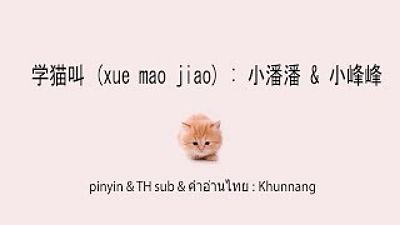 ภาพปกอัลบั้มเพลง Snaptube 学猫叫 (xue mao jiao ซับไทย คำอ่านไทย) 小潘潘 小峰峰 70K)