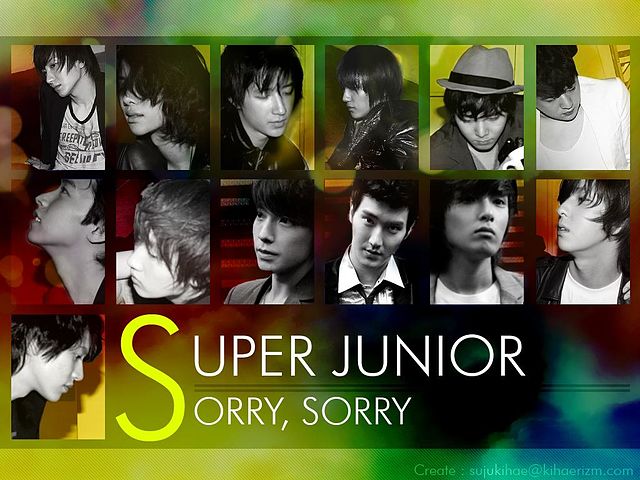 ภาพปกอัลบั้มเพลง (ringtone) sorry sorry (hook verse 1 hook hook) - super junior