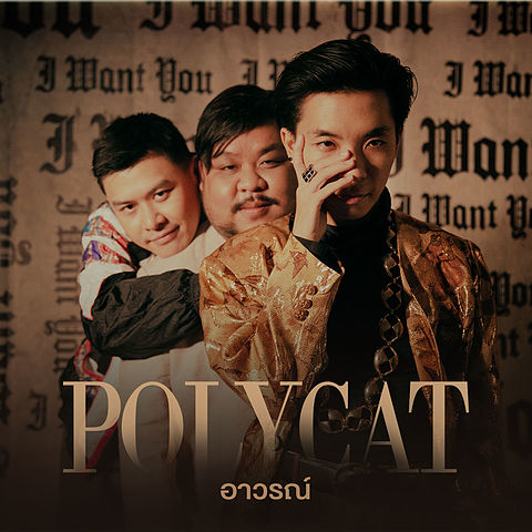 ภาพปกอัลบั้มเพลง อาวรณ์ - Polycat