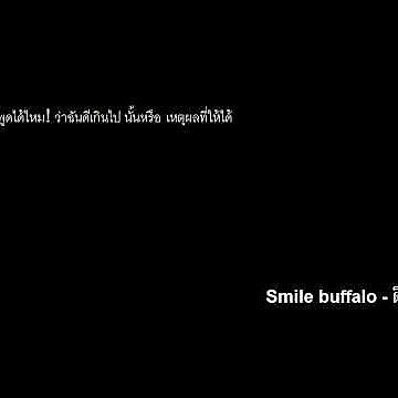 ภาพปกอัลบั้มเพลง Smile buffalo - ดีเกินไป