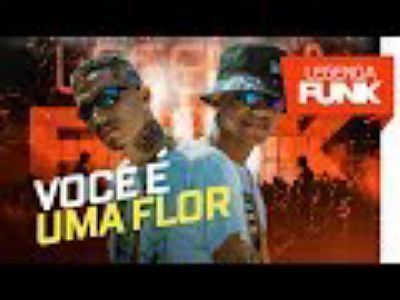 ภาพปกอัลบั้มเพลง MCs Thin e Alexandre - Novinha Você é Uma Flor (Ly