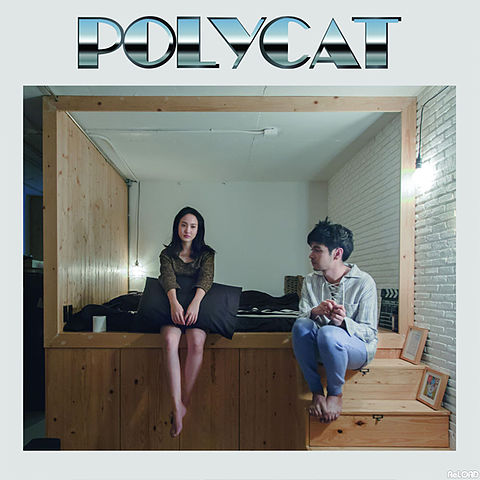 ภาพปกอัลบั้มเพลง มันเป็นใคร (Alright) - Polycat