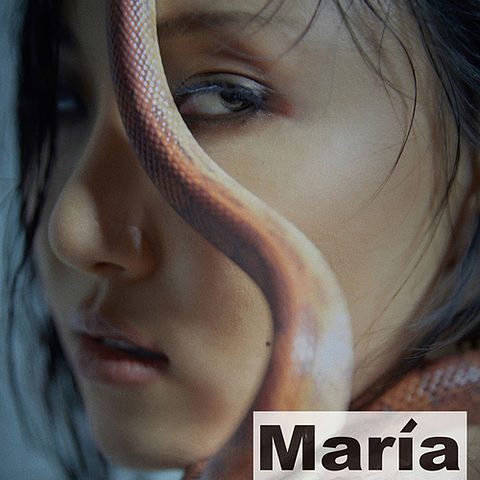 ภาพปกอัลบั้มเพลง 045 화사(Hwa Sa) - 마리아 (Maria) - 구글검색 짱토