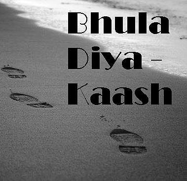 ภาพปกอัลบั้มเพลง Bhula Diya - Kaash