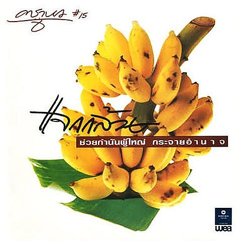 ภาพปกอัลบั้มเพลง ค้างคาวกินกล้วย--แอ๊ด คาราบาว