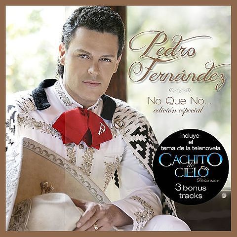 ภาพปกอัลบั้มเพลง Pedro Fernandez - Ya No Te Vayas