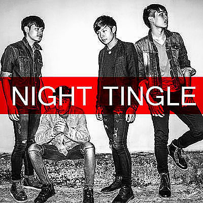 ภาพปกอัลบั้มเพลง เกินความจำเป็น - Night Tingle Cover by Ammy