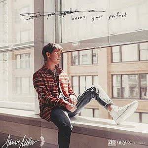 ภาพปกอัลบั้มเพลง Jamie Miller - Heres Your Perfect (Official Lyric Video)