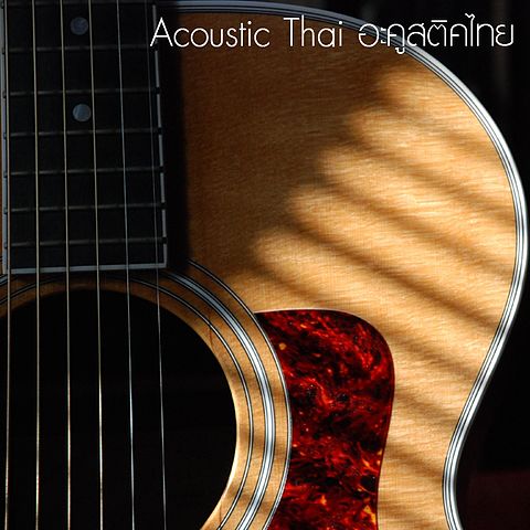 ภาพปกอัลบั้มเพลง Acoustic Thai - กลัว (Acoustic Version) (ปาล์มมี่) olozmp3