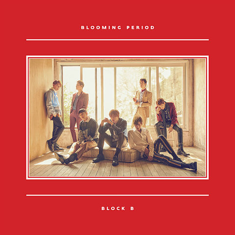 09 블락비 (Block B) - Toy
