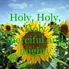 ภาพปกอัลบั้มเพลง Holy Holy Holy - Hillsong United